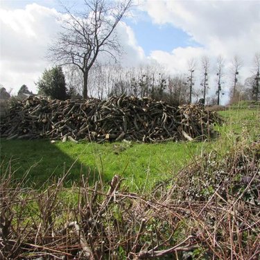 Terrains de loisirs bois etangs a vendre Chérencé-le-Héron 50800 Manche 434 m2  6800 euros