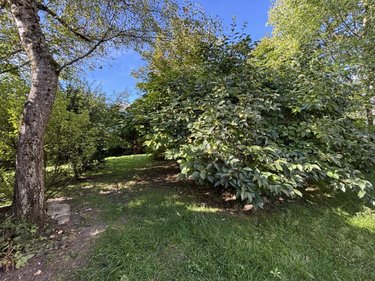 Maison a vendre Cognin 73160 Savoie 179 m2 7 pièces 470000 euros