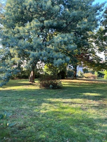 Maison a vendre Theix-Noyalo 56450 Morbihan 127 m2 5 pièces 566500 euros