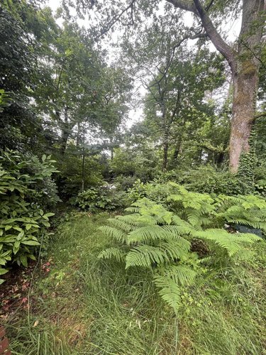 Maison a vendre Ploeren 56880 Morbihan 110 m2 7 pièces 467000 euros