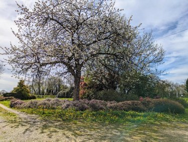 Maison a vendre Landelles-et-Coupigny 14380 Calvados 152 m2 5 pièces 221550 euros