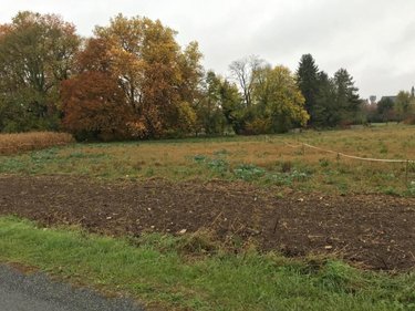 Terrain a batir a vendre Baugy 18800 Cher 2001 m2  44500 euros