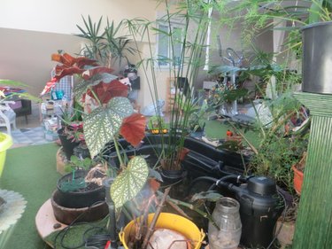 Maison a vendre Noues de Sienne 14380 Calvados 297 m2  147700 euros