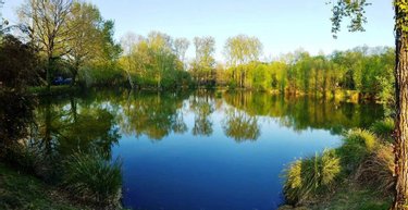 Terrains de loisirs bois etangs a vendre Le Croisty 56540 Morbihan 15350 m2  74400 euros