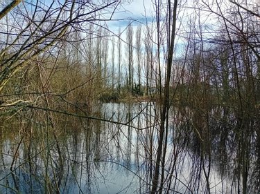 Maison a vendre Missillac 44780 Loire-Atlantique 94 m2 4 pièces 259720 euros