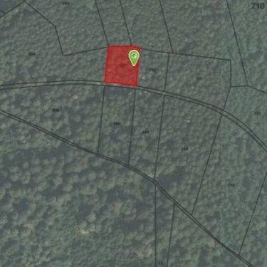 Terrains de loisirs bois etangs a vendre Chastel 43300 Haute-Loire 3340 m2  2120 euros