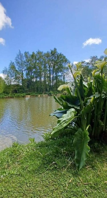 Divers a vendre Crédin 56580 Morbihan 7880 m2  53000 euros