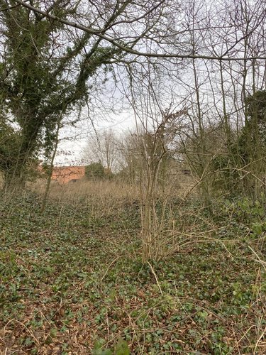 Terrain a batir a vendre Bailleulval 62123 Pas-de-Calais 830 m2  47700 euros