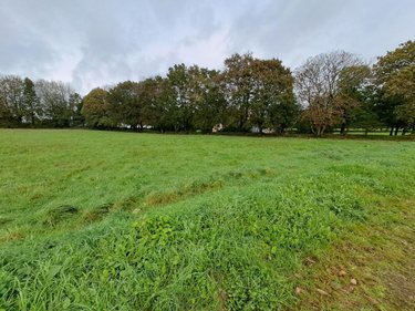 Terrain a batir a vendre Scrignac 29640 Finistère 4287 m2  32500 euros