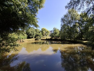 Maison a vendre Pleugriffet 56120 Morbihan 116 m2 5 pièces 175000 euros
