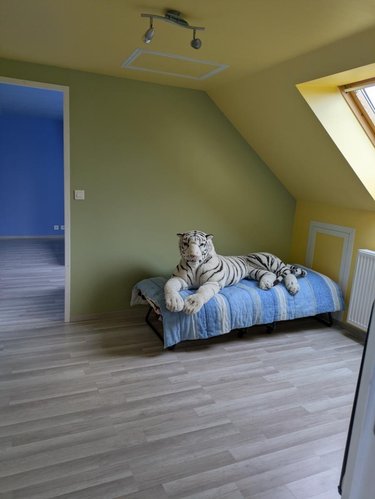 Maison a vendre Audruicq 62370 Pas-de-Calais 109 m2 4 pièces 317480 euros