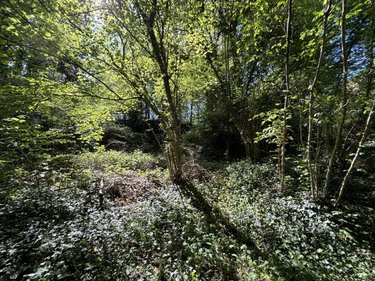 Terrain a batir a vendre Saint-Antoine-du-Rocher 37360 Indre-et-Loire 689 m2  64200 euros