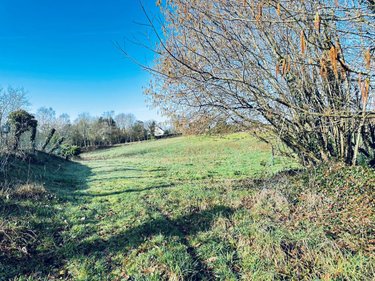 Terrain a batir a vendre Meslan 56320 Morbihan 6300 m2  53000 euros