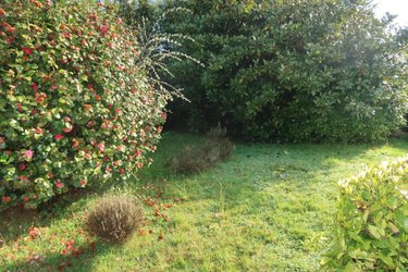 Maison a vendre Landerneau 29800 Finistère 65 m2  197200 euros
