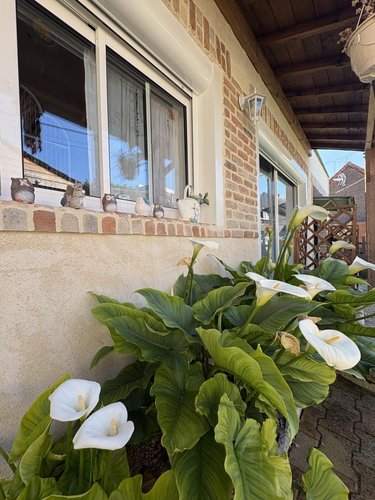 Maison a vendre Laon 02000 Aisne 96 m2 4 pièces 142000 euros