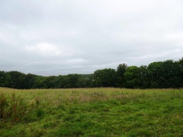 Terrains de loisirs bois etangs a vendre Plouray 56770 Morbihan 28430 m2  15990 euros
