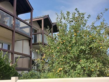 Appartement a vendre Larmor-Plage 56260 Morbihan 49 m2 2 pièces 260000 euros