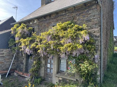 Maison a vendre Loyat 56800 Morbihan 110 m2 4 pièces 229060 euros