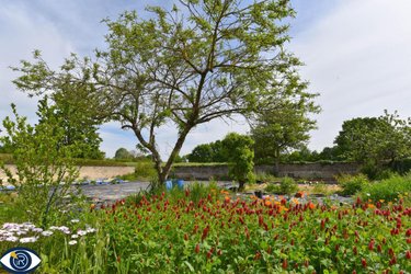 Maison a vendre Mézangers 53600 Mayenne 141 m2 7 pièces 228800 euros