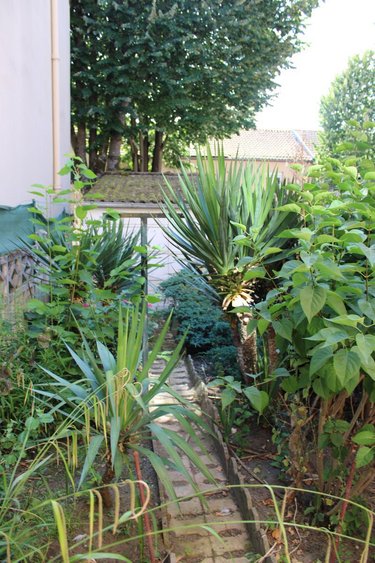 Immeuble a vendre Vichy 03200 Allier 200 m2  210000 euros