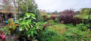 Maison a vendre Buironfosse 02620 Aisne 85 m2 4 pièces 81000 euros