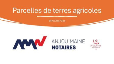 Terrains de loisirs bois etangs a vendre Louailles 72300 Sarthe 347070 m2  142124 euros