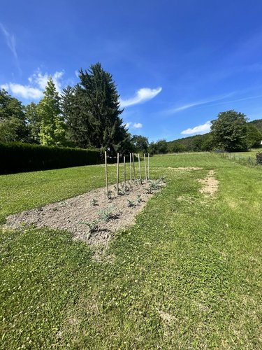Maison a vendre Quenoche 70190 Haute-Saône 173 m2  139000 euros