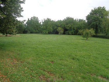 Maison a vendre Lillers 62190 Pas-de-Calais 124 m2  415000 euros