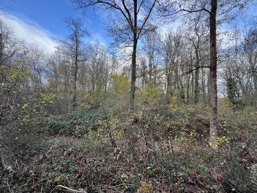 Terrains de loisirs bois etangs a vendre Jarzé-Villages 49140 Maine-et-Loire 75235 m2  83600 euros