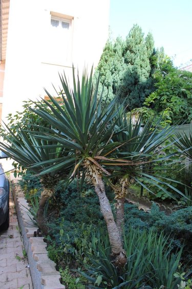 Immeuble a vendre Vichy 03200 Allier 200 m2  210000 euros