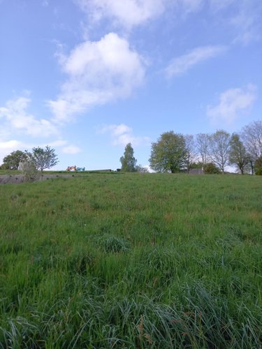 Terrain a batir a vendre Camors 56330 Morbihan 910 m2  76860 euros