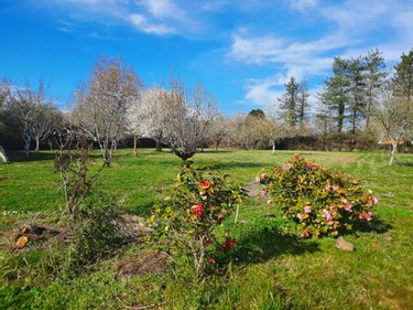 Maison a vendre Saint-Gervais 85230 Vendée 97 m2 4 pièces 224640 euros
