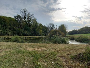 Divers a vendre Muret-et-Crouttes 02210 Aisne 8800 m2  55600 euros