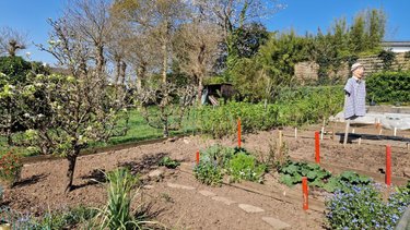 Maison a vendre Saint-Martin-des-Champs 29600 Finistère 132 m2 6 pièces 278515 euros