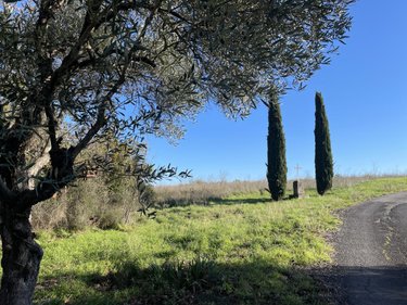 Maison a vendre Clermont-l'Hérault 34800 Hérault 400 m2 5 pièces 850000 euros