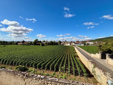 Maison a vendre Meursault 21190 Côte-d'Or 139 m2 4 pièces 785200 euros