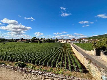 Maison a vendre Meursault 21190 Côte-d'Or 139 m2 4 pièces 785200 euros
