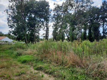 Terrain a batir a vendre Saint-Hilaire-de-Riez 85270 Vendée 816 m2  172330 euros