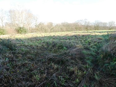 Terrain a batir a vendre Locmalo 56160 Morbihan 799 m2  31980 euros