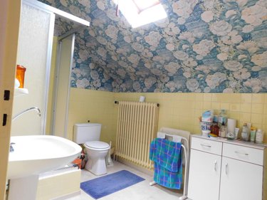 Maison a vendre Pont-d'Ain 01160 Ain 231 m2 7 pièces 280000 euros