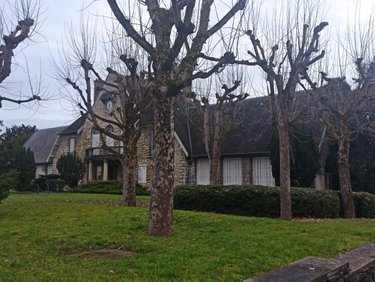 Immeuble a vendre Reims 51100 Marne 383 m2  689000 euros