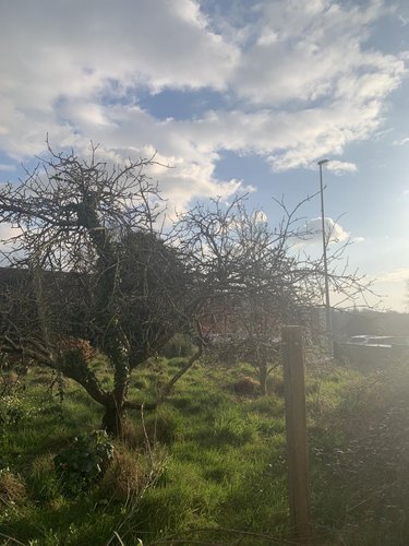 Maison a vendre Le Relecq-Kerhuon 29480 Finistère 77 m2 3 pièces 233250 euros