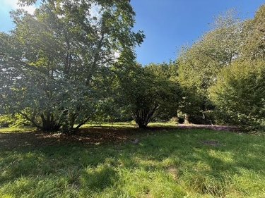 Terrain a batir a vendre Bouchemaine 49080 Maine-et-Loire 3365 m2  419200 euros