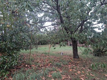 Maison a vendre Allonnes 72700 Sarthe 128 m2 5 pièces 171150 euros