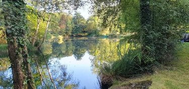 Terrains de loisirs bois etangs a vendre Le Croisty 56540 Morbihan 15350 m2  74400 euros