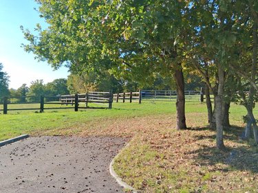 Maison a vendre Rives-d'Andaine 61140 Orne 570 m2 11 pièces 4300000 euros