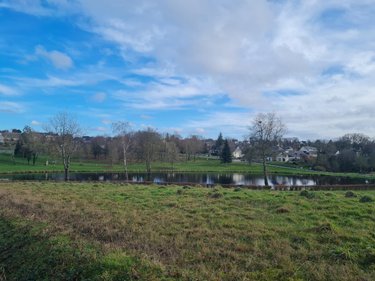 Terrain a batir a vendre Pleugriffet 56120 Morbihan 3740 m2  37400 euros