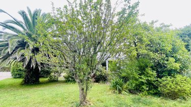 Maison a vendre Quiberon 56170 Morbihan 113 m2 7 pièces 415840 euros