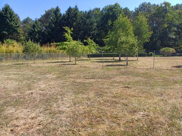 Terrain a batir a vendre Changé 72560 Sarthe 1071 m2  152500 euros