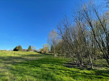 Terrain a batir a vendre Péronnas 01960 Ain 5835 m2  175000 euros